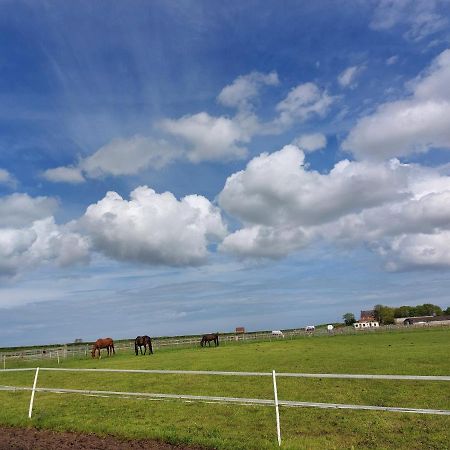 Hotel Braemar Equestrian, East Riding Of Yorkshire Burton Pidsea Exterior foto